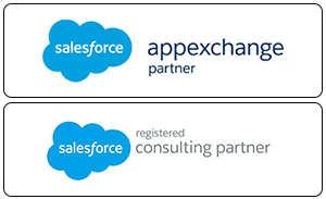  Salesforce Consulting