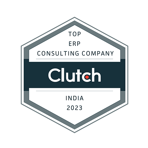 top erp consulting company