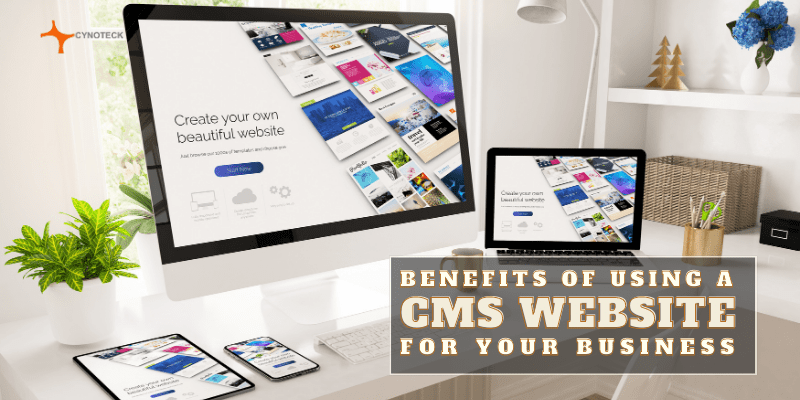 CMS for business website