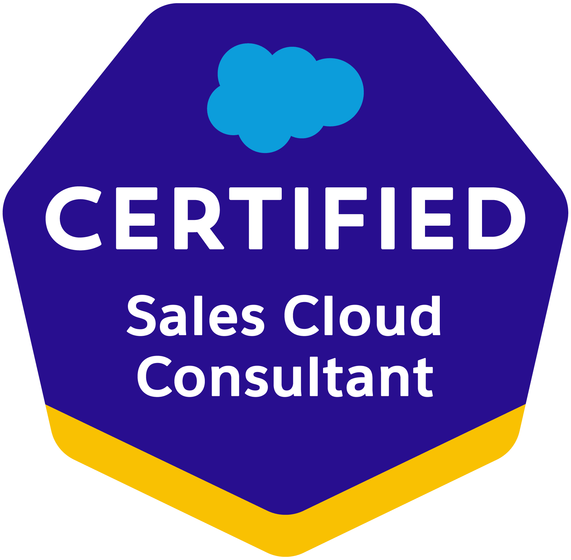 certified salesforce sales cloud consultant