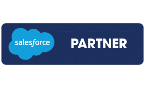  Salesforce Consulting