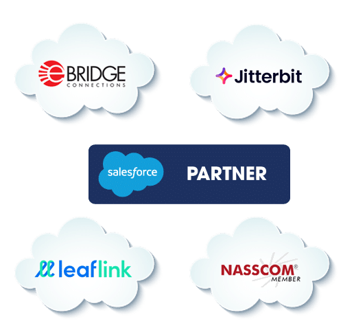 our salesforce partners